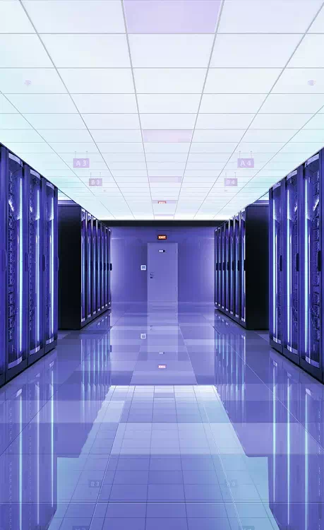 Описание изображения